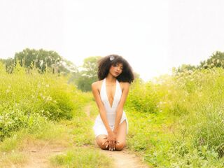 stockings live cam LissaBlaze