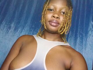 free web cam chat Plum
